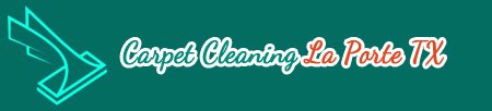 professional carpet cleaners Carpet Cleaning La Porte TX