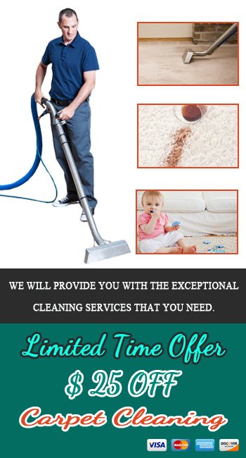 Professional Carpet Cleaning